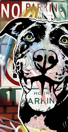 Framed MS Understood NO PARKING Print