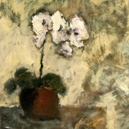 Framed Orchid Textures II Print