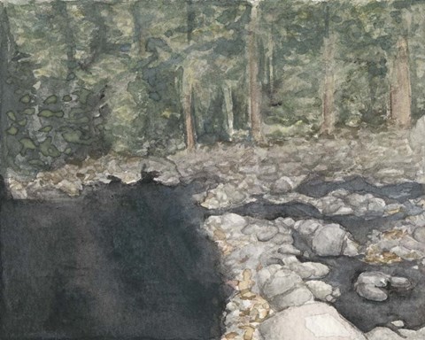 Framed Virginia Forest II Print