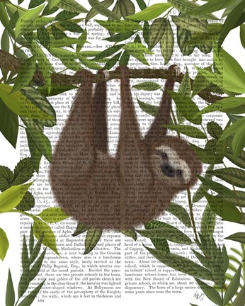 Framed Sloth Hanging Around Print