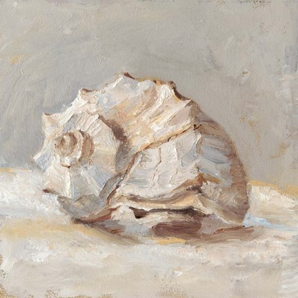 Framed Impressionist Shell Study II Print