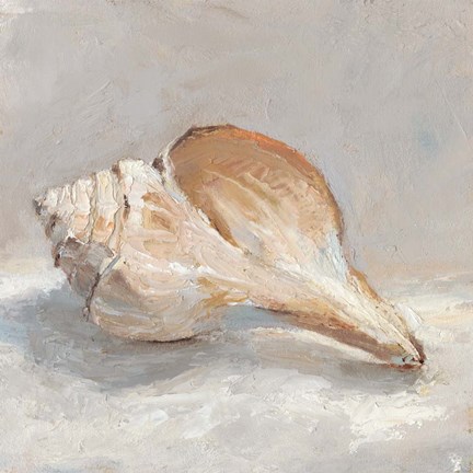 Framed Impressionist Shell Study III Print