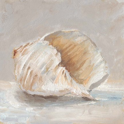 Framed Impressionist Shell Study IV Print