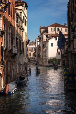 Framed Passing Gondolas Print