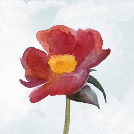 Framed Joyful Peony I Print