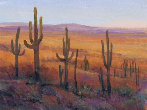 Framed Desert Light I Print