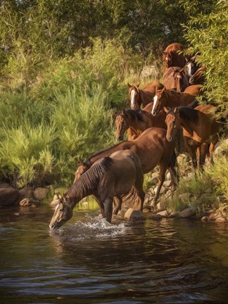 Framed River Horses I Print