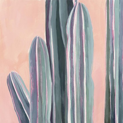 Framed Desert Dawn VI Print