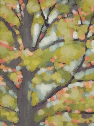 Framed Dappled Dusk II Print