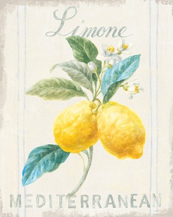 Framed Floursack Lemon III Print