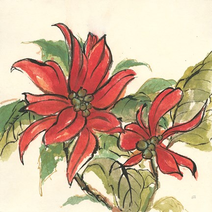 Framed Poinsettia II Print