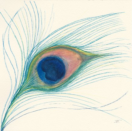 Framed Peacock Feather I Print