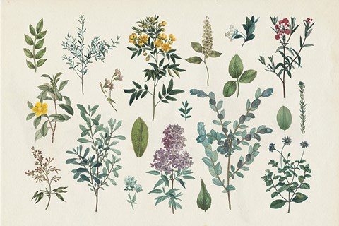 Framed Victorian Garden IV Print