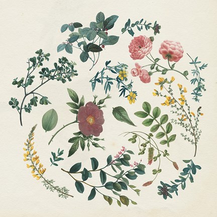 Framed Victorian Garden II Print