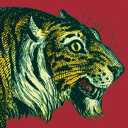 Framed Jungle Flair I Print