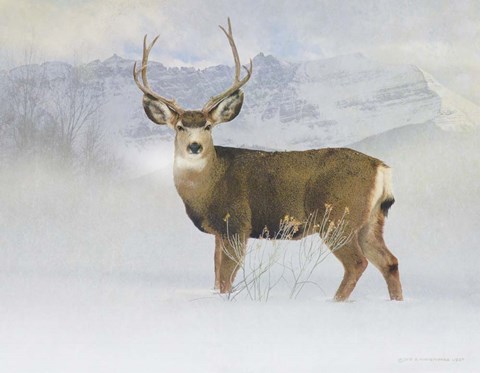 Framed Bucky Deer Snow Print