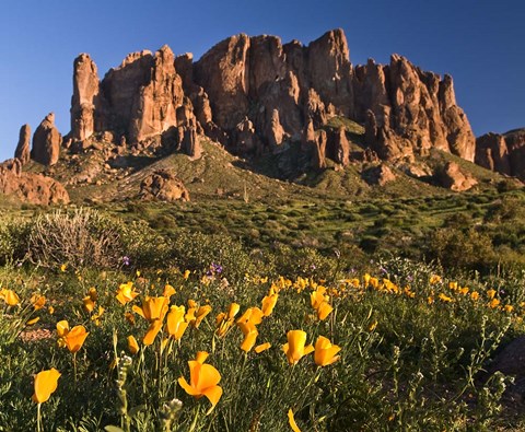 Framed Lost Dutchman State Park Superstition Mtns Print