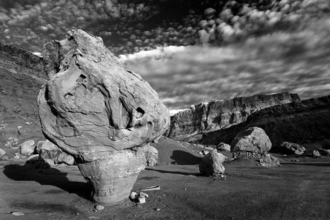 Framed Vermillion Cliffs National Monument Arizona Print