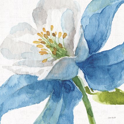 Framed Blue and Green Garden VI Print