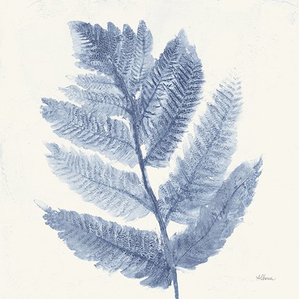 Framed Forest Ferns I Blue Print