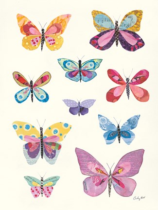 Framed Butterfly Charts II Print