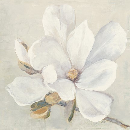 Framed Serene Magnolia Print