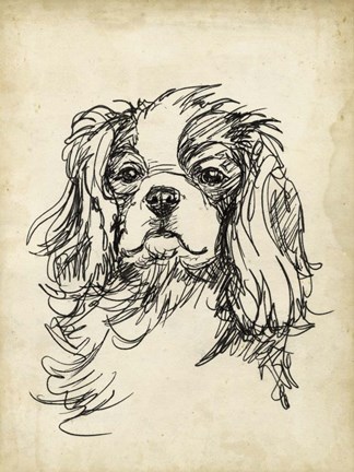 Framed Breed Studies II Print