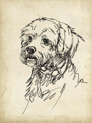 Framed Breed Studies III Print