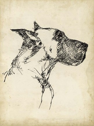 Framed Breed Studies IV Print