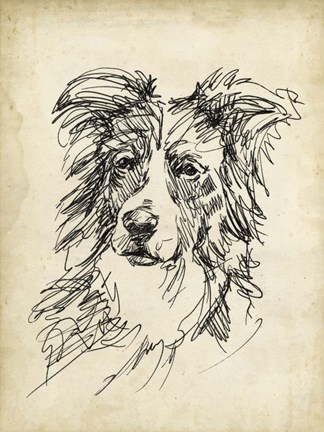 Framed Breed Studies V Print