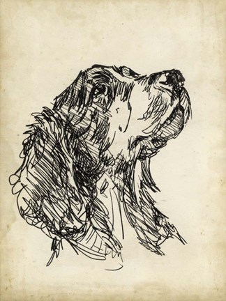 Framed Breed Studies VII Print