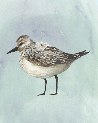 Framed Watercolor Beach Bird V Print
