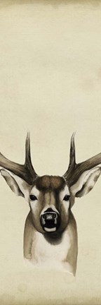 Framed Triptych Whitetail II Print