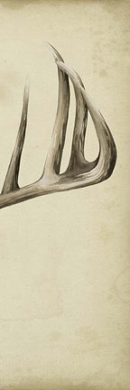 Framed Triptych Whitetail III Print