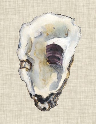 Framed Oyster Shell Study III Print