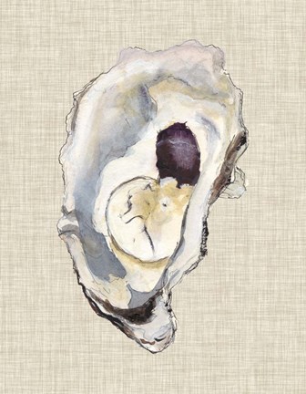 Framed Oyster Shell Study IV Print