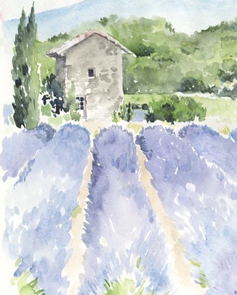 Framed Lavender Fields I Print