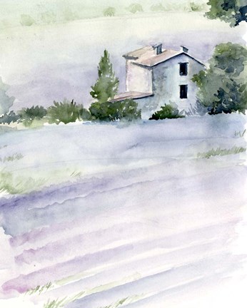 Framed Lavender Fields II Print