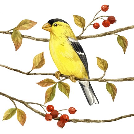 Framed Birds &amp; Berries II Print