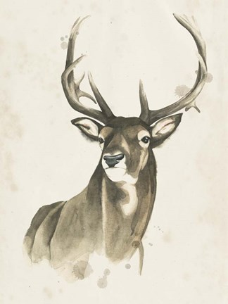 Framed Watchful Woods I Print