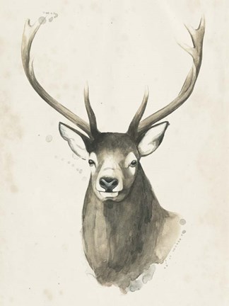 Framed Watchful Woods IV Print