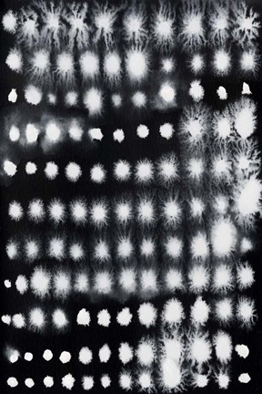 Framed Electrified I Print