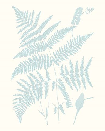 Framed Serene Ferns I Print