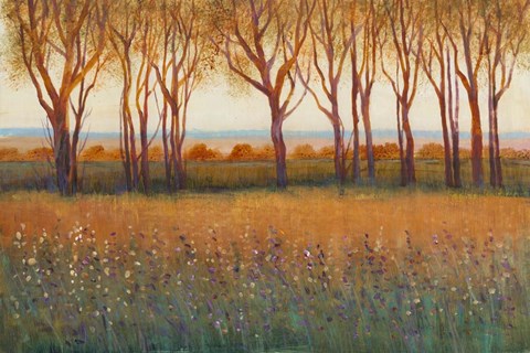 Framed Glow in the Afternoon I Print