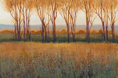 Framed Glow in the Afternoon II Print