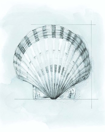 Framed Coastal Shell Schematic III Print