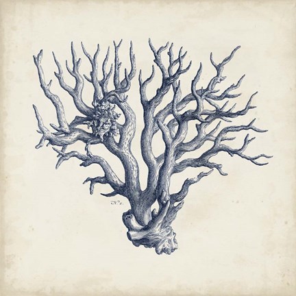 Framed Coral Trio in Indigo I Print