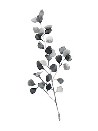 Framed Brume Botanical III Print