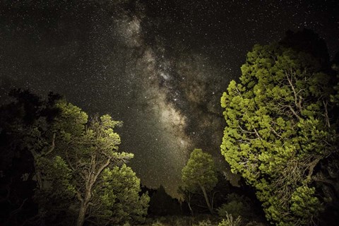 Framed Stargazer 3 Print