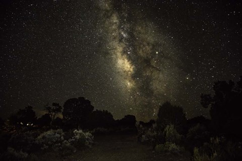 Framed Stargazer 5 Print